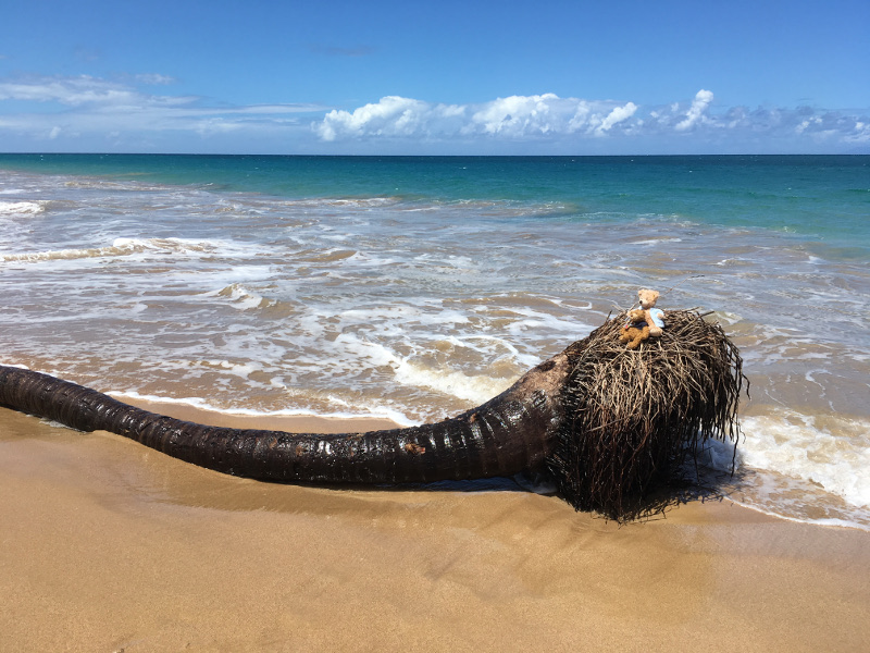 Guadeloupe - February 2019