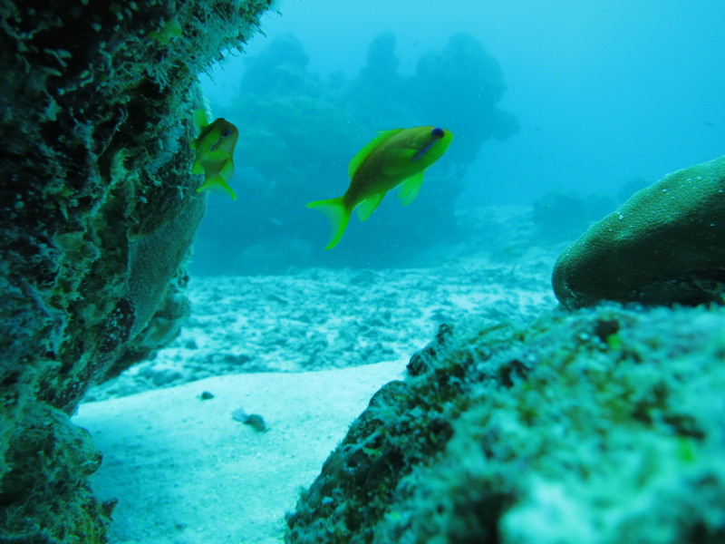 Maldives - April 2019